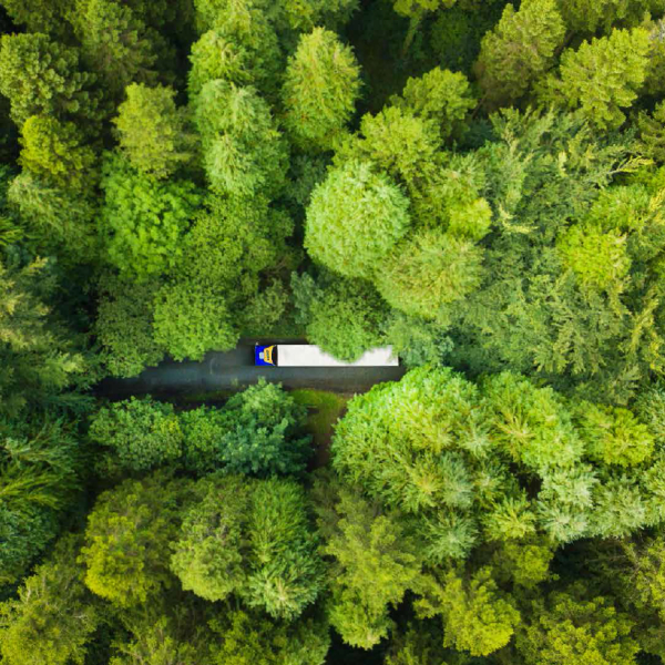 Logistics is not a&nbsp;sprint, but marathon